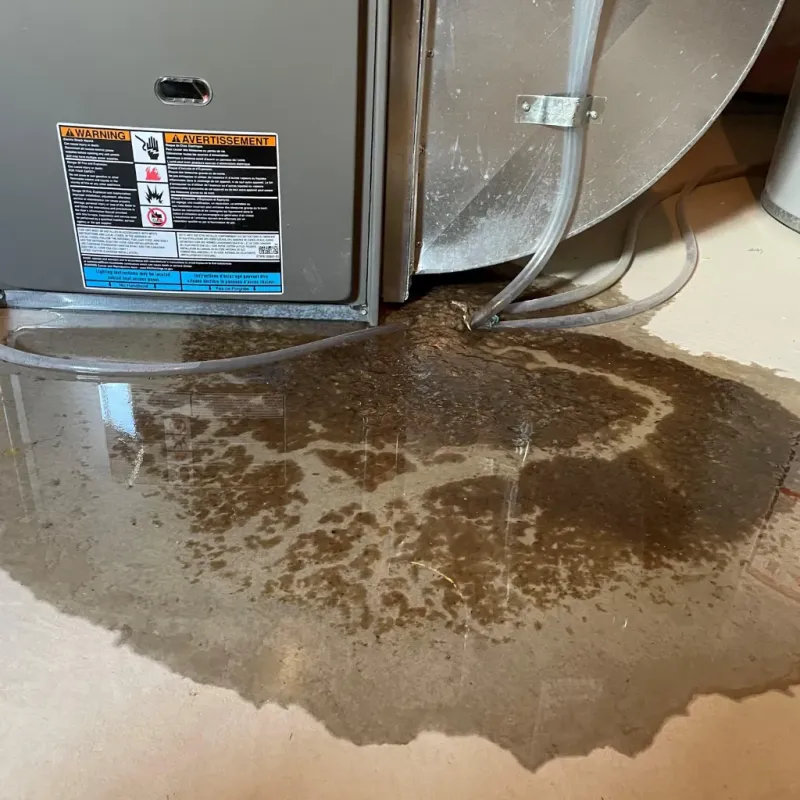 Appliance Leak Cleanup in Deer Park, TX