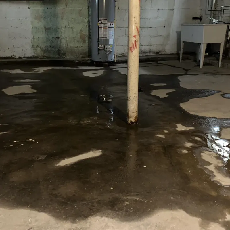 Emergency Water Extraction And Removal in Deer Park, TX